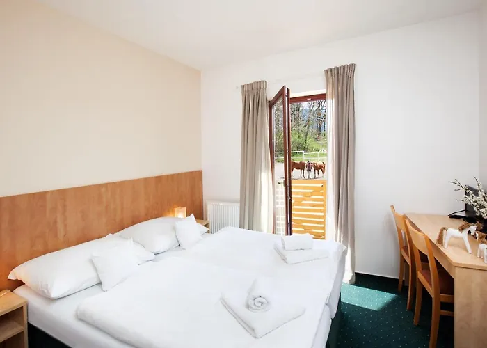 Panska Licha 3* Brno