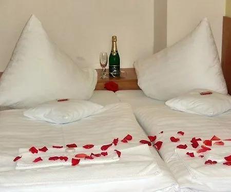 Hotel Panska Licha 3* Brno