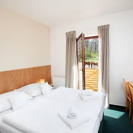 Hotel Panska Licha 3* Brno