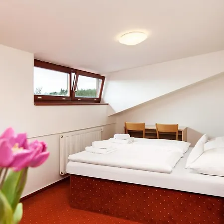 Panska Licha Hotel Brno