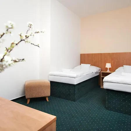 Hotel Hotel Panska Licha Brno