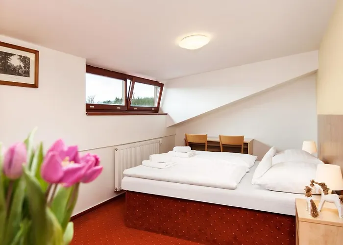 Panska Licha Hotell Brno